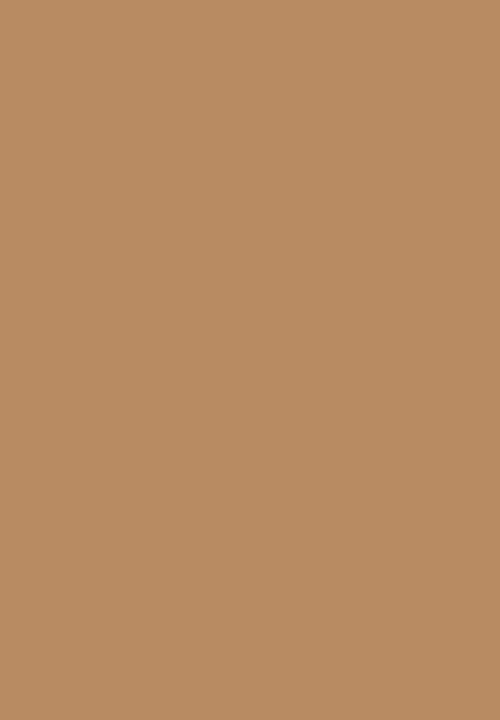 Black Opal - TRUE COLOR® Soft Velvet Finishing Powder - Neutral Light