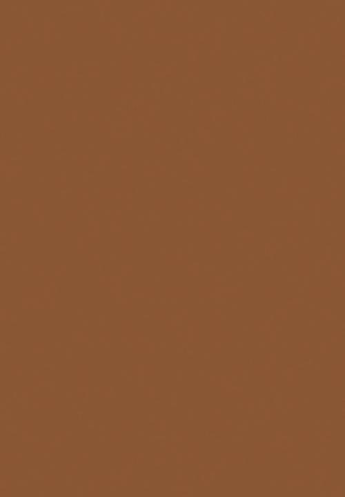 Black Opal - Cover All Plus Total Coverage - Hazelnut