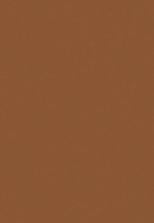 Black Opal - Total Coverage Face And Body Concealer - Hazelnut