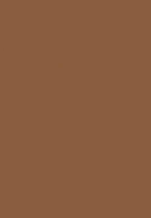 Black Opal - Total Coverage Face And Body Concealer - Nutmeg