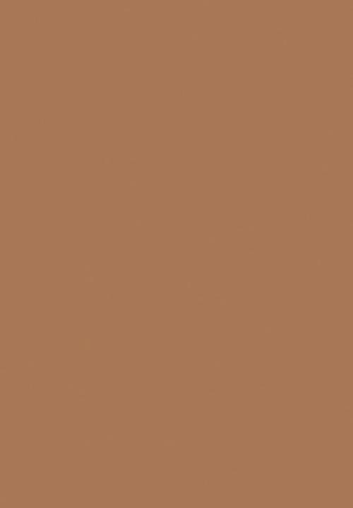 Black Opal - TRUE COLOR® Pore Perfecting Liquid Foundation - Heavenly Honey