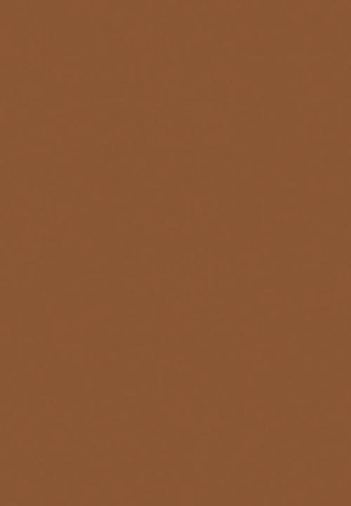 Black Opal - TRUE COLOR® Pore Perfecting Liquid Foundation - Hazelnut
