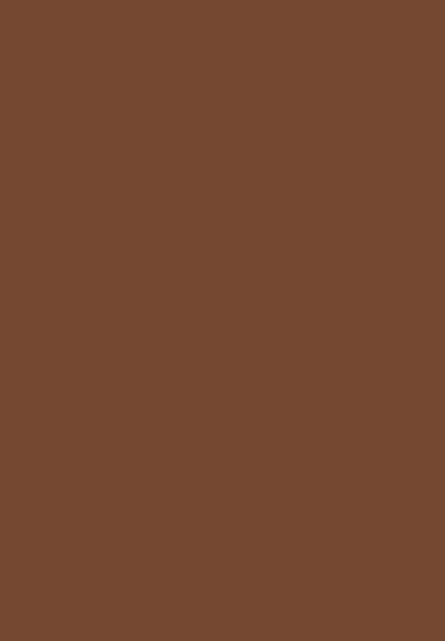 Black Opal - TRUE COLOR® Pore Perfecting Liquid Foundation - Carob