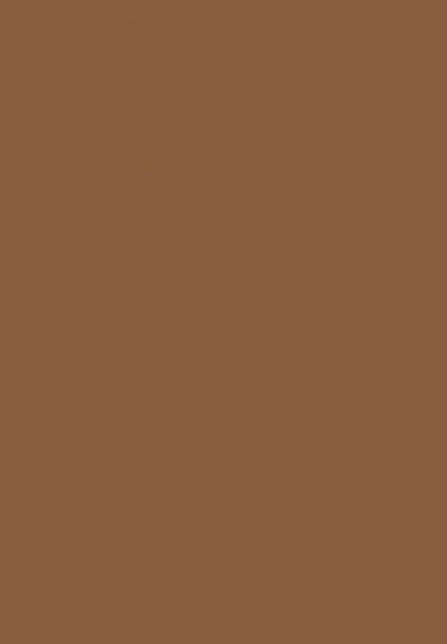Black Opal - TRUE COLOR® Pore Perfecting Liquid Foundation - Nutmeg
