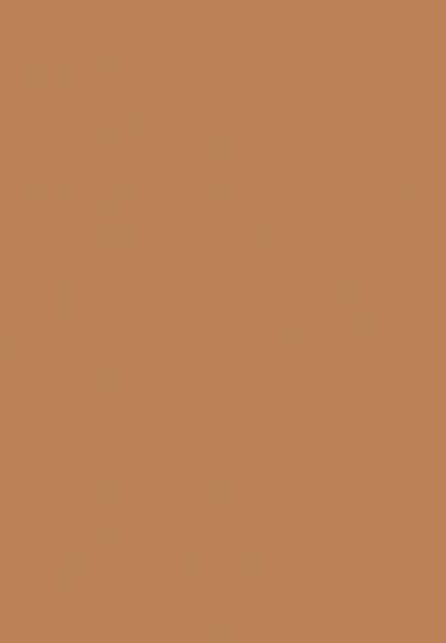 Black Opal - TRUE COLOR® Pore Perfecting Crème Powder - Truly Topaz