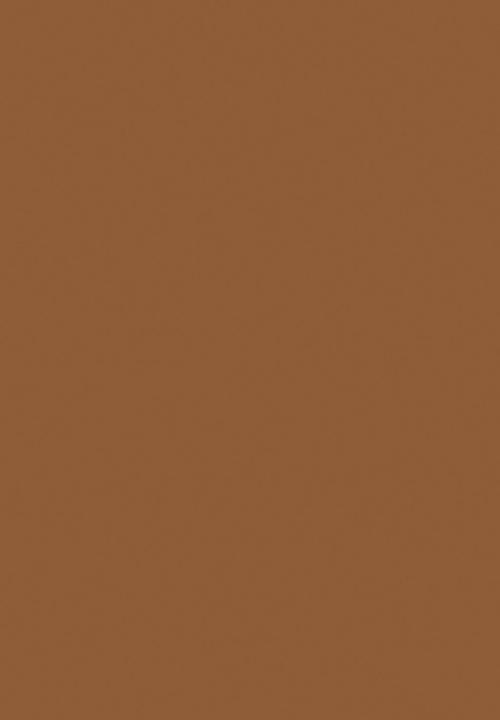 Black Opal - TRUE COLOR® Pore Perfecting Crème Powder - Amber