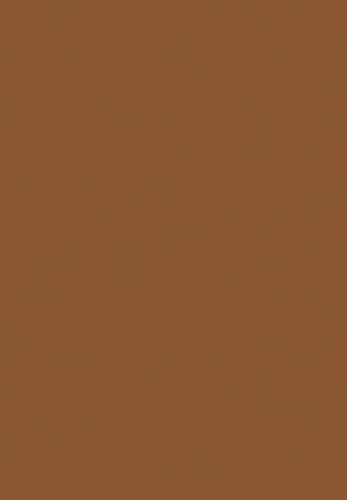 Black Opal - TRUE COLOR® Pore Perfecting Crème Powder - Hazelnut