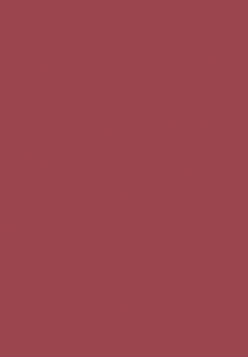 Black Opal - COLORSPLURGE™ Liquid Matte Lipstick - Chic Mauve 