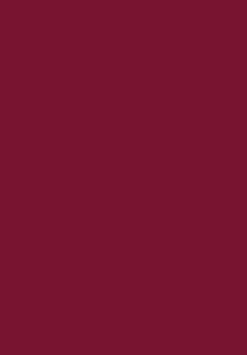 Black Opal - COLORSPLURGE™ Liquid Matte Lipstick - Ruby