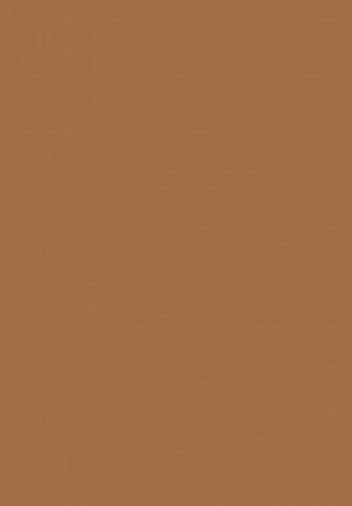 Black Opal - TRUE COLOR® Pore Perfecting Liquid Foundation - Warm Almond