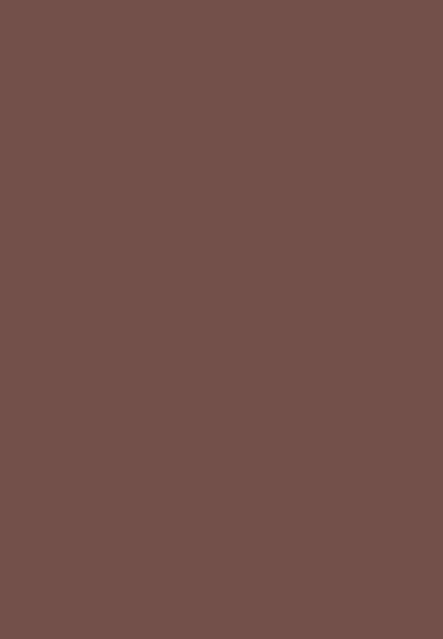Black Opal - TRUE COLOR® Highlighter Stick - Bronze Glow