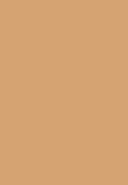 Black Opal - TRUE COLOR® Highlighter Stick - Golden Lights