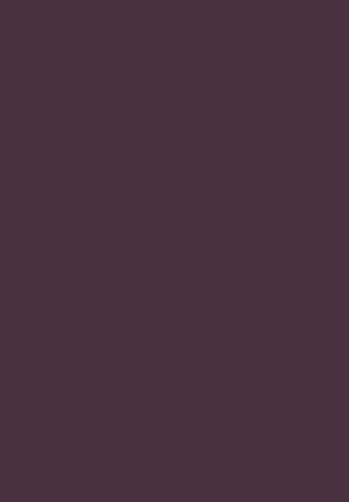 Black Opal - COLORSPLURGE™Liquid Matte Lipstick - Raisin Crush