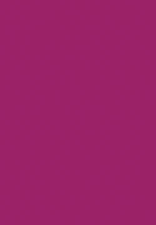Black Opal - COLORSPLURGE™ Liquid Matte Lipstick - Fab Fuschia