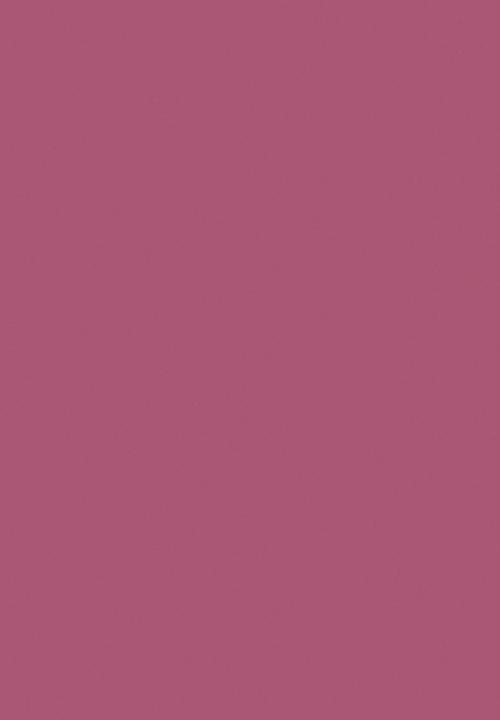 Black Opal - COLORSPLURGE™ Liquid Matte Lipstick - Pink Kiss