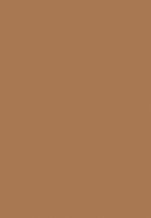 Black Opal - TRUE COLOR® Skin Perfecting Stick Foundation - Yes Honey