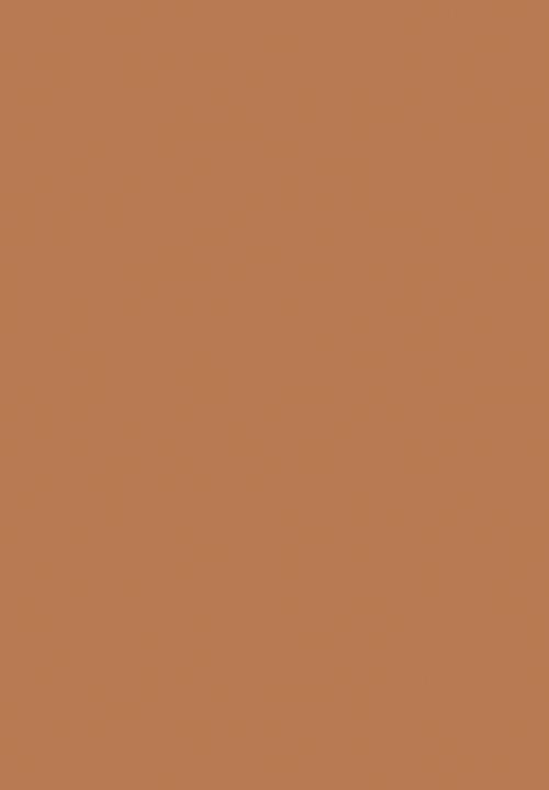 Black Opal - TRUE COLOR® Skin Perfecting Stick Foundation - Sierra Slay