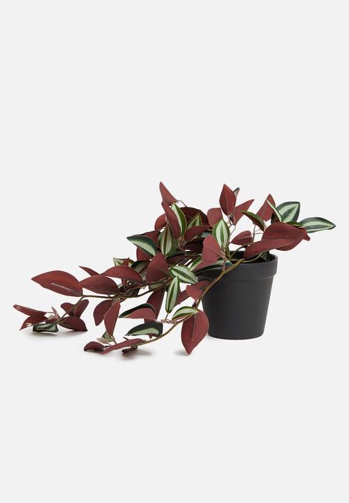 H&S - Tradescantia artificial plant - dark green