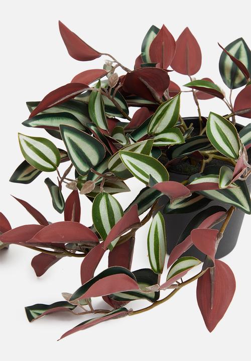 H&S - Tradescantia artificial plant - dark green