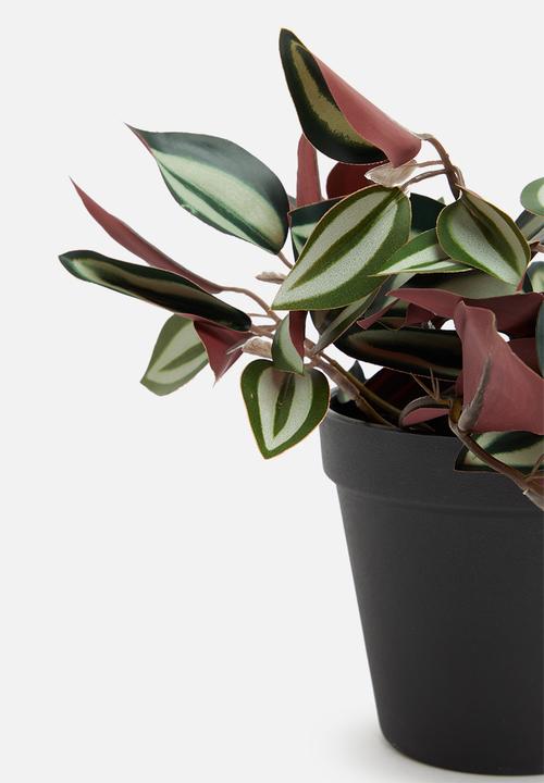 H&S - Tradescantia artificial plant - dark green