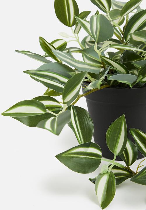 H&S - Tradescantia artificial plant - mid tone green
