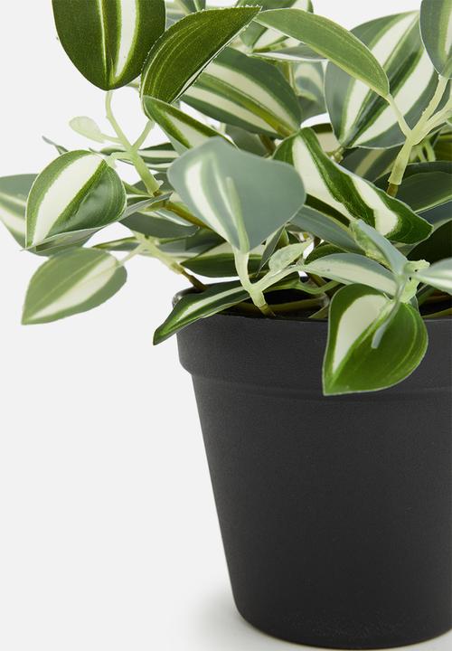H&S - Tradescantia artificial plant - mid tone green