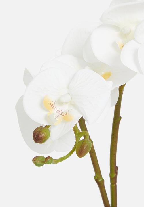 Sixth Floor - Orchid artificial plant - black pot