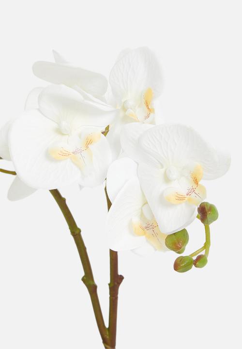 Sixth Floor - Orchid artificial plant - black pot