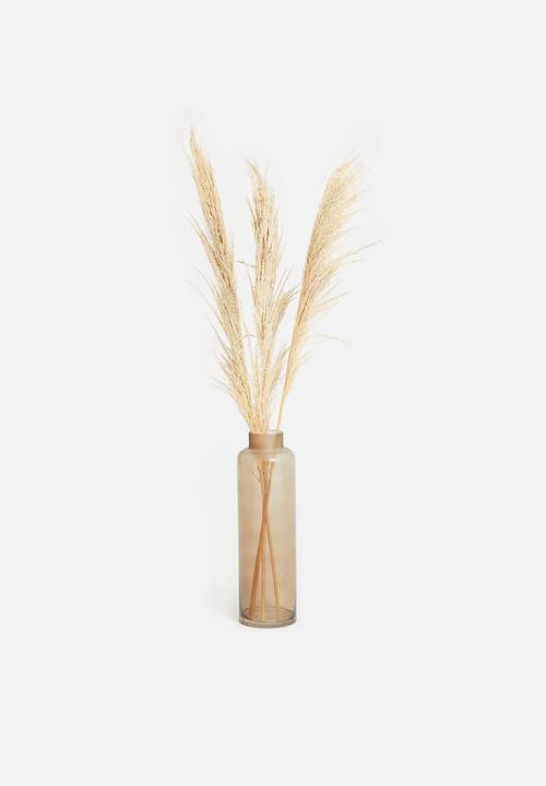 H&S - Pampas flowers - brown