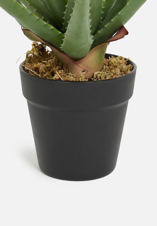Sixth Floor - Aloe apple artificial plant - black plastic pot