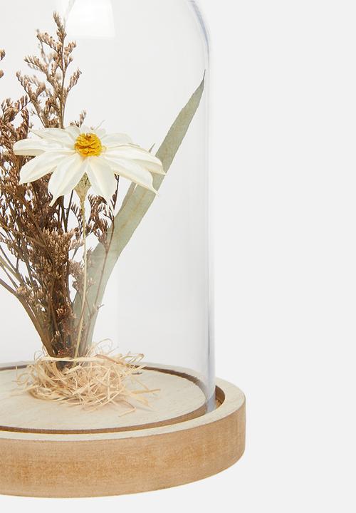 H&S - Flower in dome - daisy