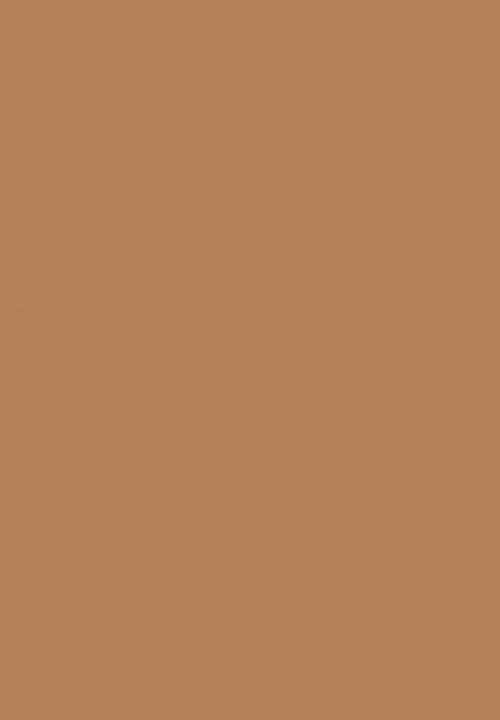 Black Opal - TRUE COLOR® Skin Perfecting Stick Foundation - Kalahari Sand
