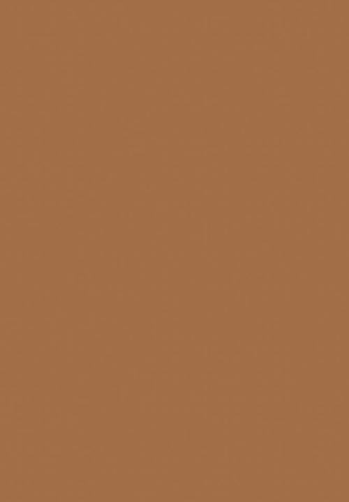 Black Opal - TRUE COLOR® Skin Perfecting Stick Foundation - Warm Almond