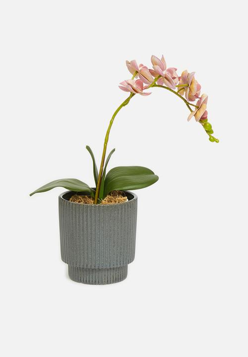 H&S - Ceramic flower pot - black