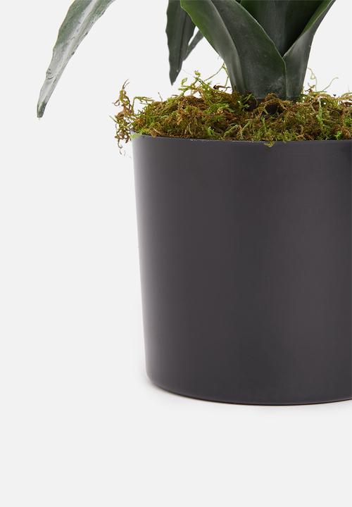 Silk By Design - Aloe artificial plant in pvc pot - green