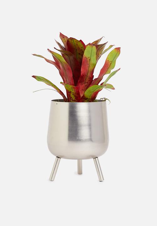 Silk By Design - Bromeliad artificial plant in pvc pot - red & green