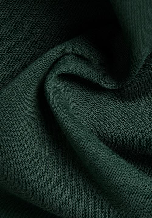 G-STAR - Premium core hooded zip sweater long sleeve - laub