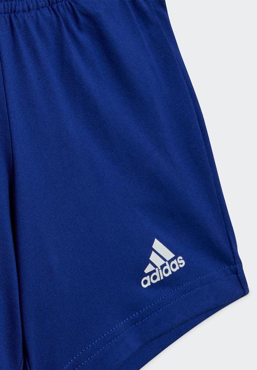 adidas Performance - I bl co t set - medium grey heather/semi lucid blue