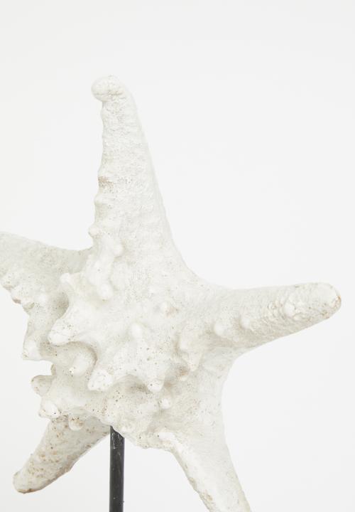 H&S - Starfish shell stand  - white