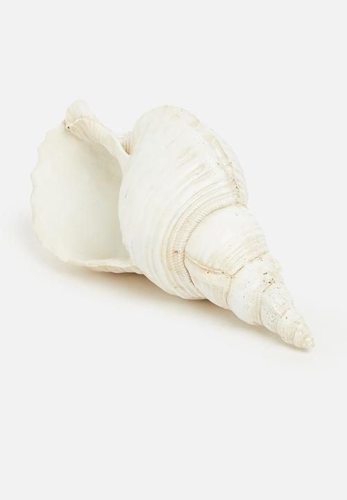 H&S - Conch shell decor - natural