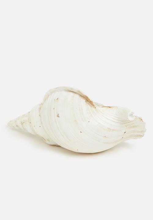 H&S - Conch shell decor - natural