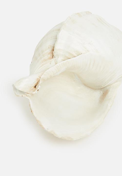 H&S - Conch shell decor - natural