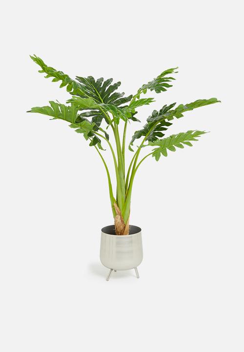 H&S - Artificial macho fern plant- green