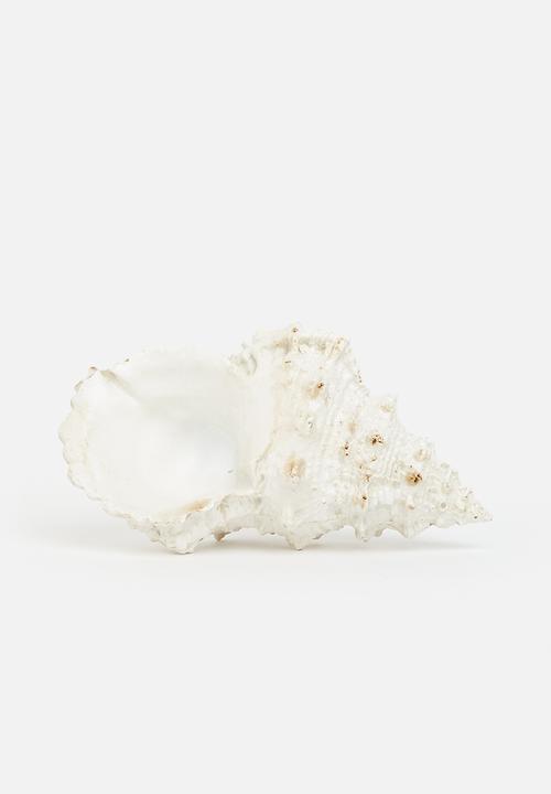 H&S - Murex shell decor - natural