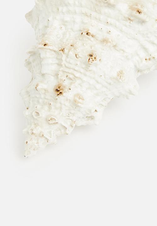 H&S - Murex shell decor - natural