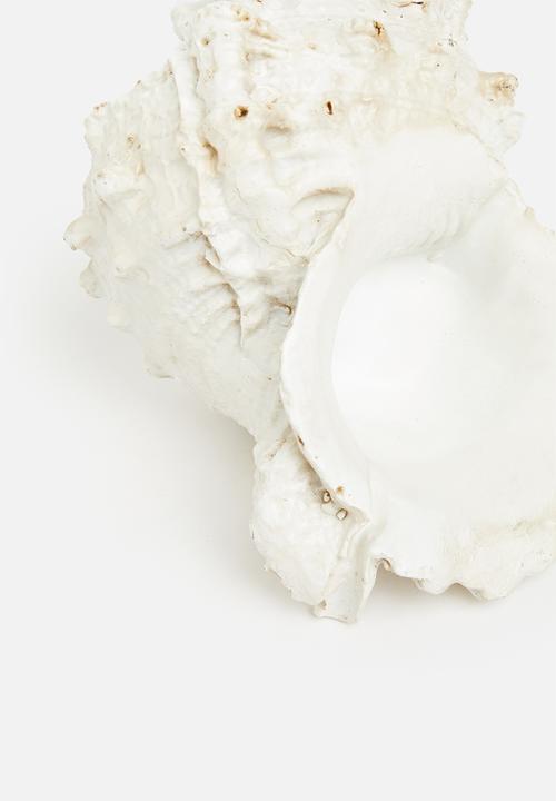 H&S - Murex shell decor - natural