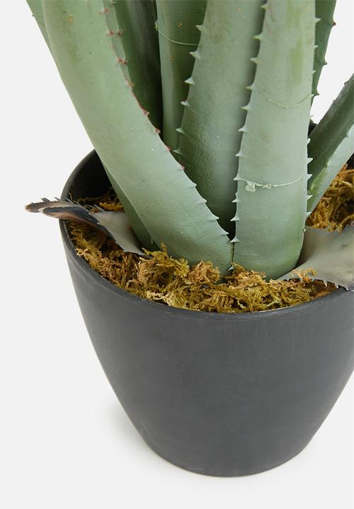 H&S - Potted plant - green