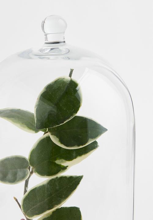 H&M - Glass dome - transparent