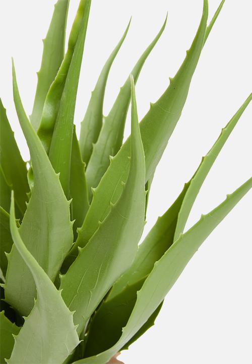 Sixth Floor - Yucca plant artificial plant - 60cm h