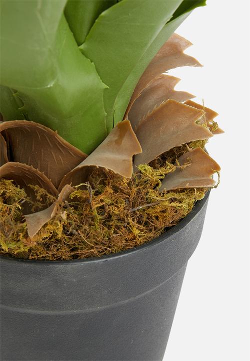 Sixth Floor - Yucca plant artificial plant - 60cm h